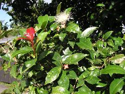 Image: Jonathan Boow © Jonathan Boow 